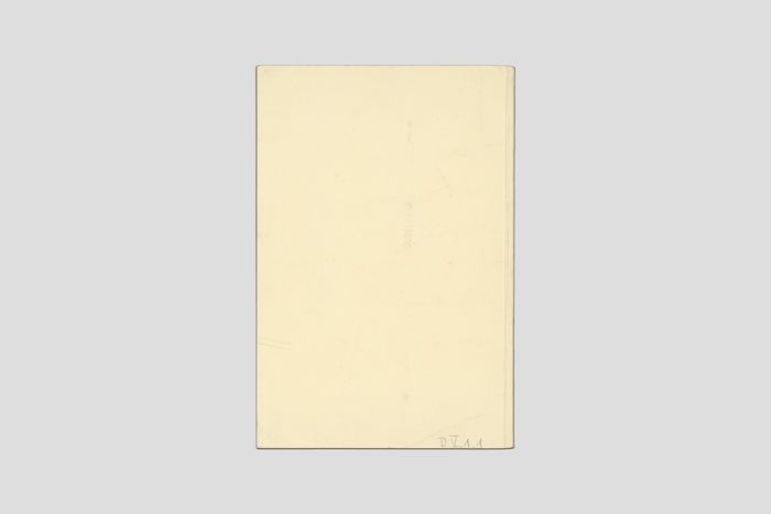 Objektabbildung zoomen