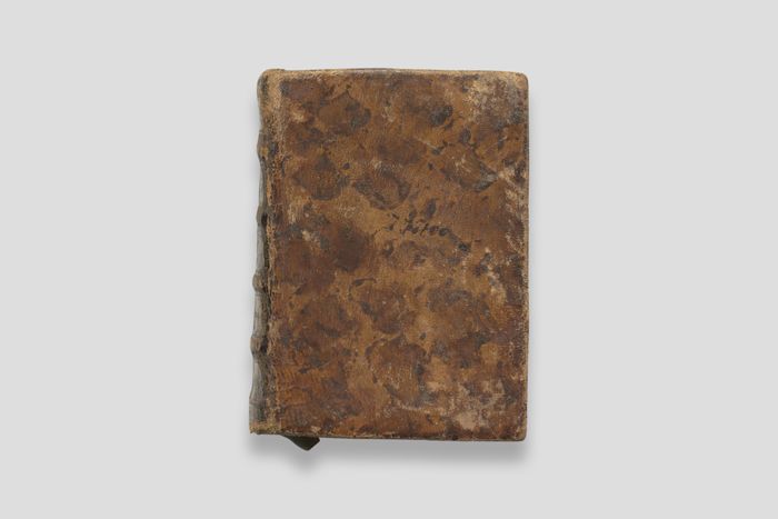 Zoom image for the object Vorderdeckel des Stundenbuchs