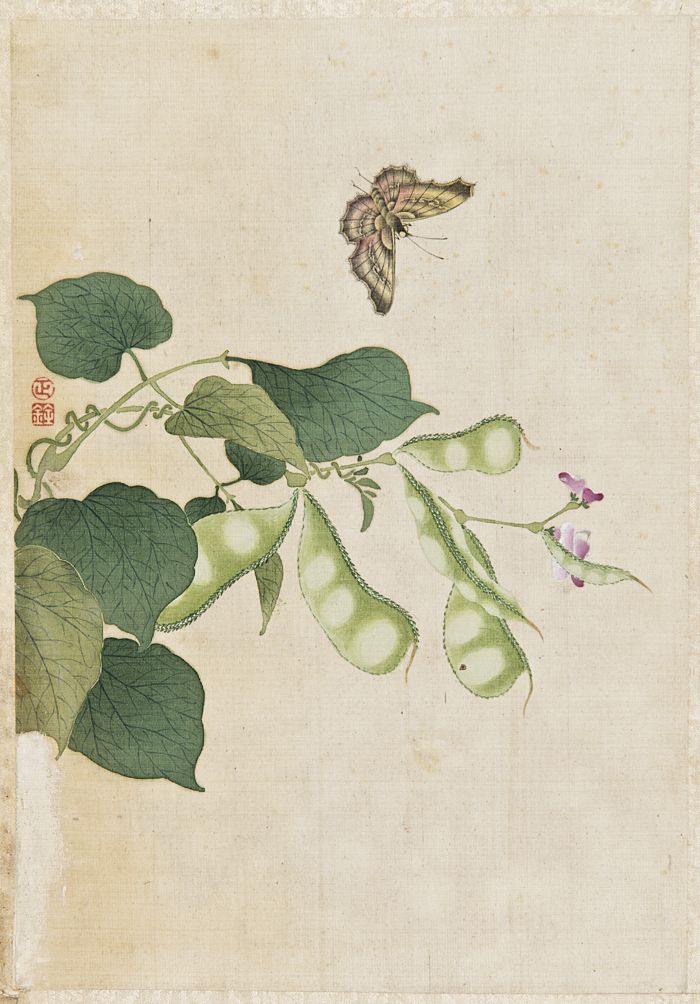 Objektabbildung zoomen Viertes Blatt des Albums. Tuschemalerei auf Seide im Hochformat. Dargestellt sind eine Pflanze und ein Schmetterling.