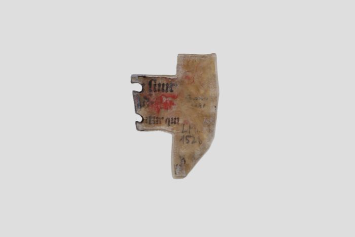 Zoom image for the object Rückseite der Inventarnummer L.M.152b einzeln