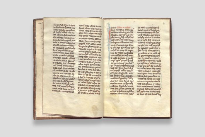 Objektabbildung zoomen Doppelseite 11 der Handschrift