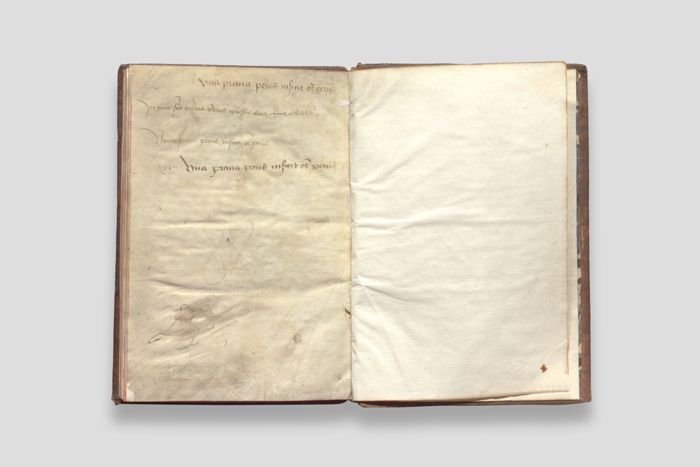 Objektabbildung zoomen Doppelseite 100 der Handschrift