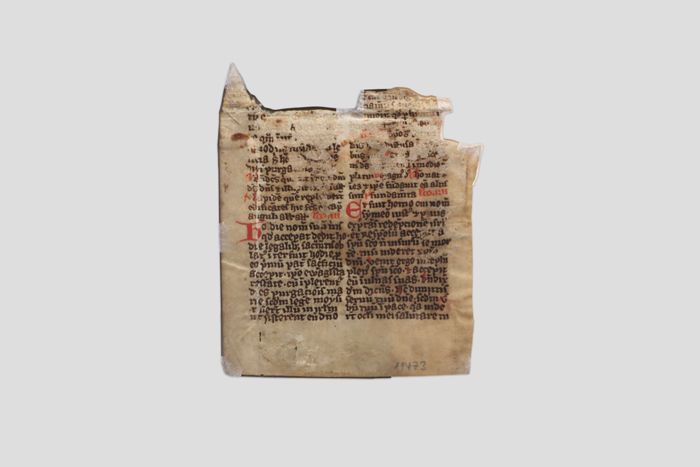Objektabbildung zoomen Rückseite des Fragments